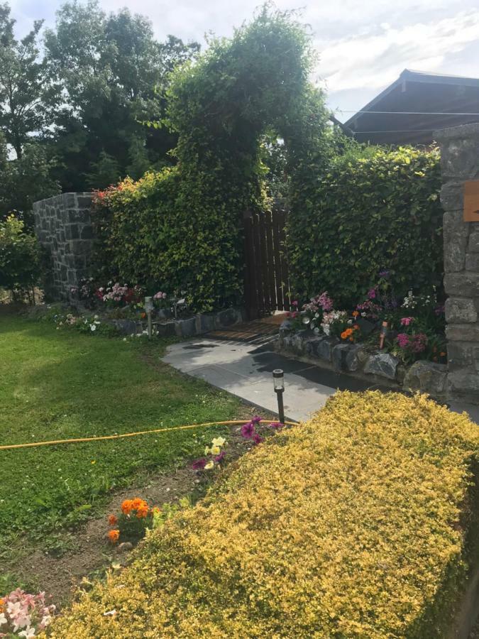 Cosy Countryside Log Cabin Kilkenny Exterior photo
